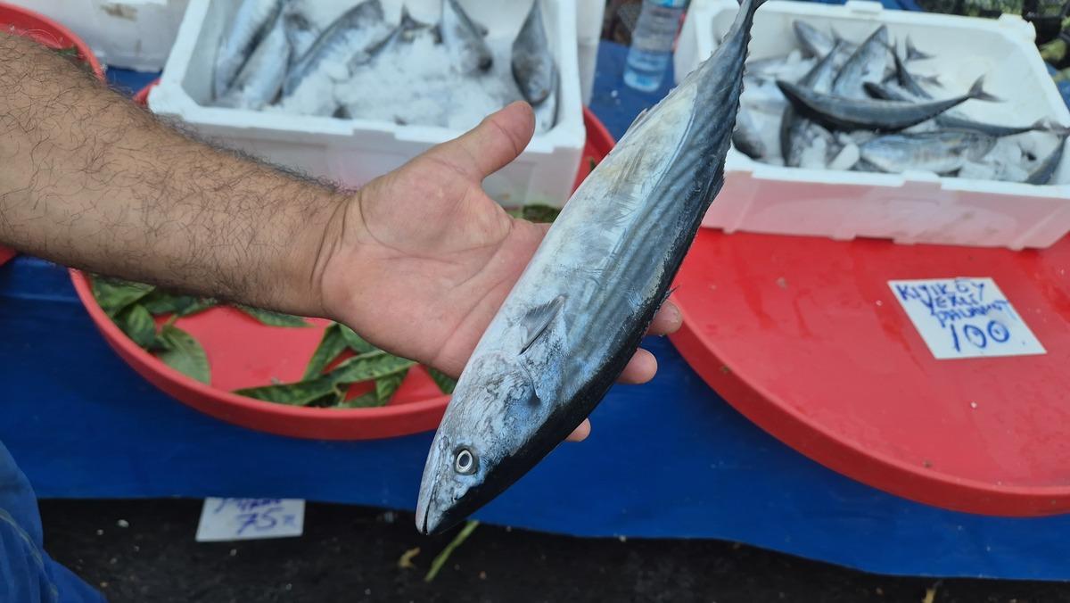 Esnaf akşam saatlerinde fiyatı daha da d&uuml;ş&uuml;rd&uuml; 3