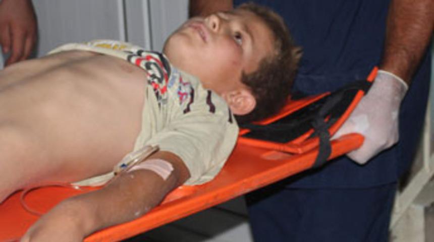 Aynı g&uuml;n doğup, aynı g&uuml;n &ouml;ld&uuml;ler