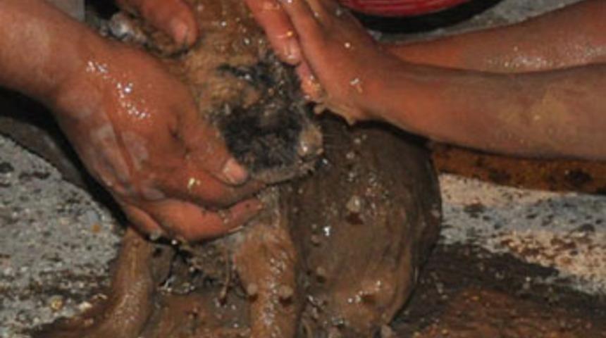 Boncuk 7 saatte kurtarıldı