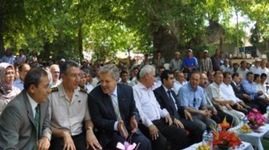 Mut&rsquo;ta kayısı festivali başladı