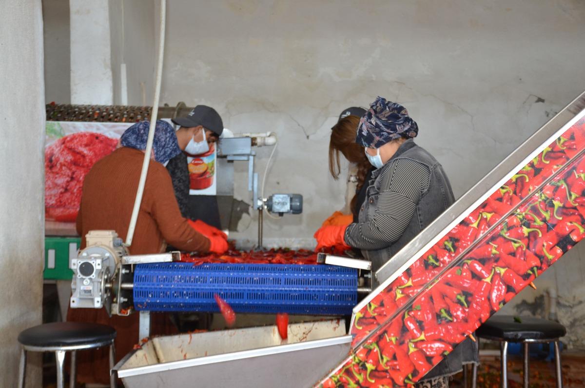 Bursa’dan getiriliyor, kilosu 40 TL’den satılıyor! Kışlık hazırlıklar başladı 1