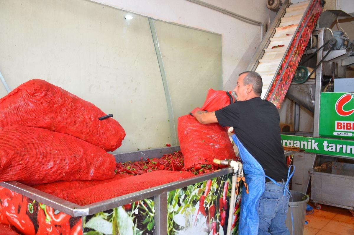 Bursa’dan getiriliyor, kilosu 40 TL’den satılıyor! Kışlık hazırlıklar başladı 2