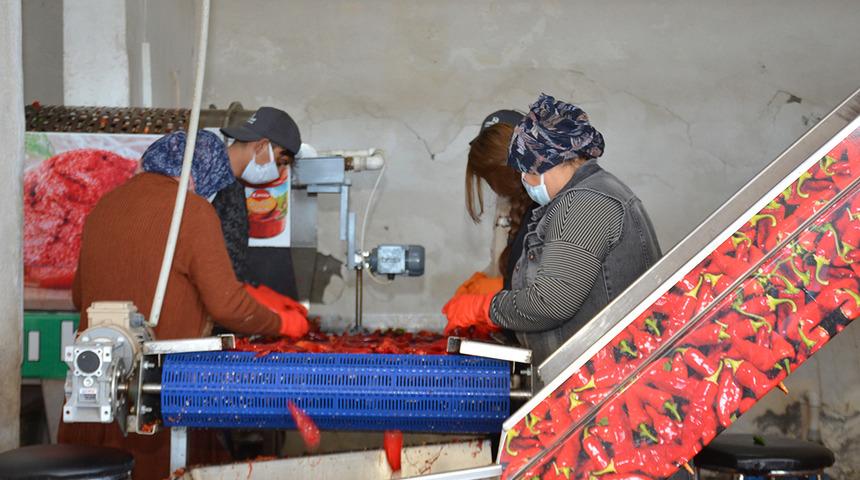 Bursa&rsquo;dan getiriliyor, kilosu 40 TL&rsquo;den satılıyor! Kışlık hazırlıklar başladı