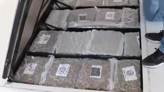 Gümrük Muhafaza ekiplerinden uyuşturucu kaçakçılığına darbe: 387 kilo skunk ele geçirildi