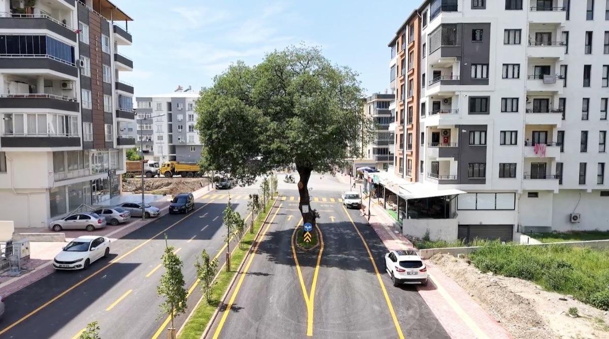 Deden 200 yıllık miras yolun ortasında kaldı: G&ouml;ren fotoğraf &ccedil;ekiyor 1
