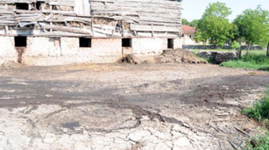 Minik Arda'nın korkun&ccedil; &ouml;l&uuml;m&uuml;