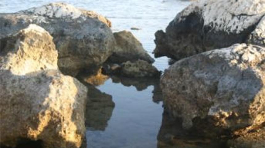 Balık tutarken denize d&uuml;şt&uuml;