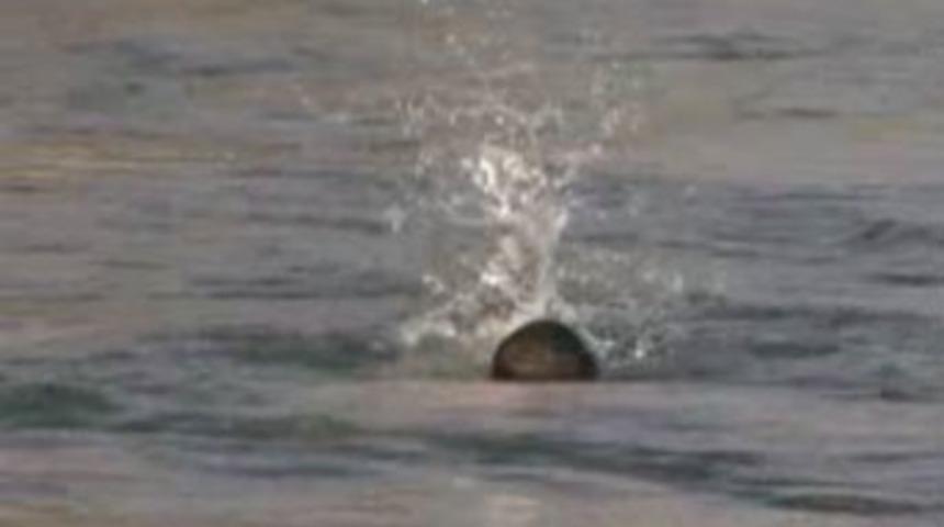 Sulama kanalında &ouml;l&uuml;m-kalım savaşı