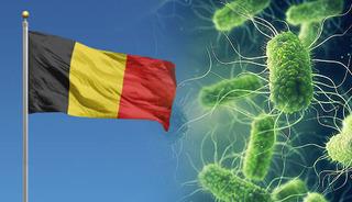 Bel&ccedil;ika'da Salmonella salgını devam ediyor