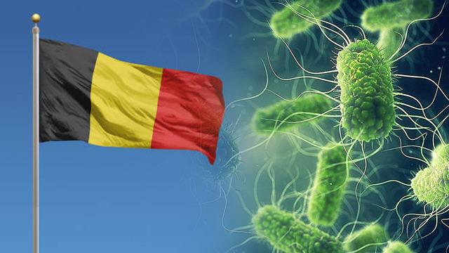 Bel&ccedil;ika'da Salmonella salgını devam ediyor