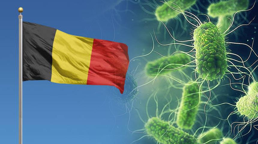 Bel&ccedil;ika'da Salmonella salgını devam ediyor: Vaka sayısı 318&rsquo;e y&uuml;kseldi