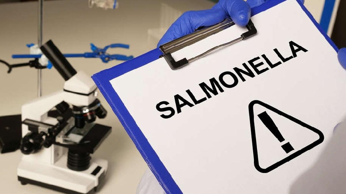 Bel&ccedil;ika da Salmonella salgını devam ediyor: Vaka sayısı 318&rsquo;e y&uuml;kseldi 1