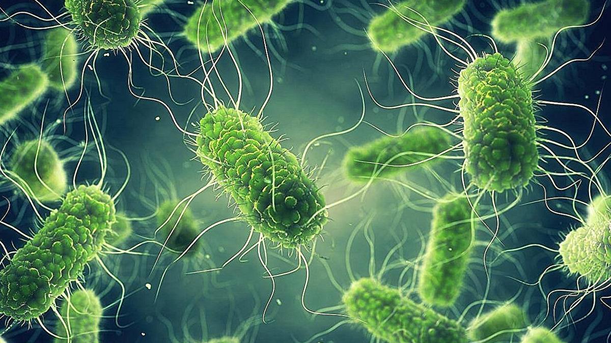 Bel&ccedil;ika da Salmonella salgını devam ediyor: Vaka sayısı 318&rsquo;e y&uuml;kseldi 4