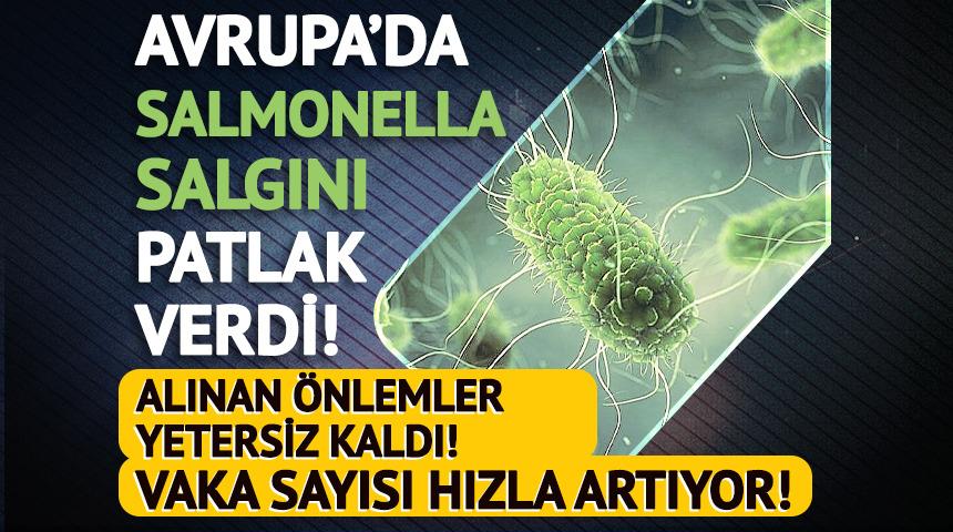 Bel&ccedil;ika'da Salmonella salgını devam ediyor