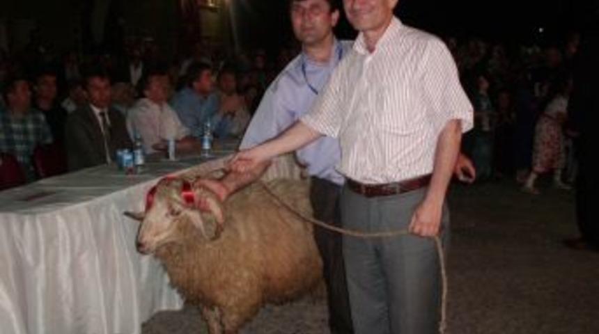 Mezuniyet Gecesinde Ko&ccedil; satıldı