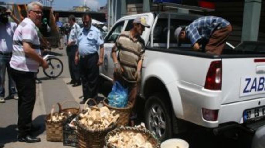 Zonguldak'ta 120 kilo mantar imha edildi