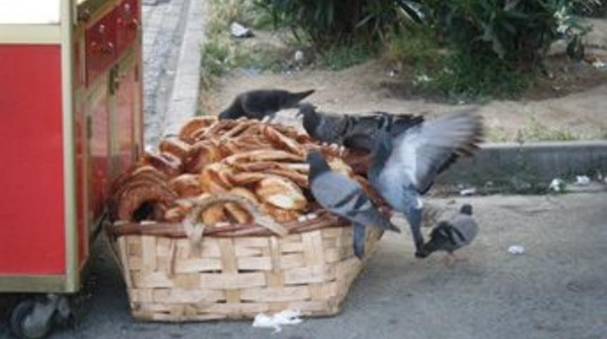 G&uuml;vercinlerin ekmek kavgası