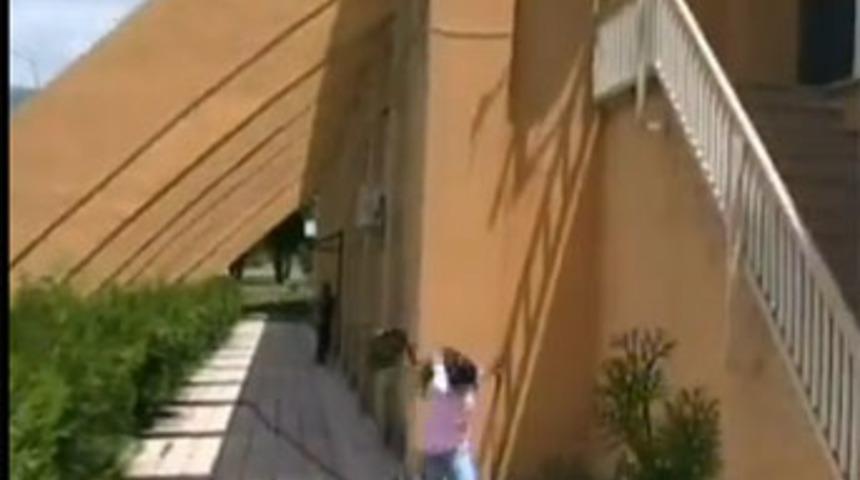 Kargalar vatandaşlara saldırdı