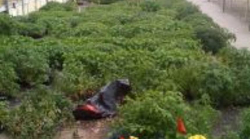 &Ccedil;ift&ccedil;i malını satamaz oldu