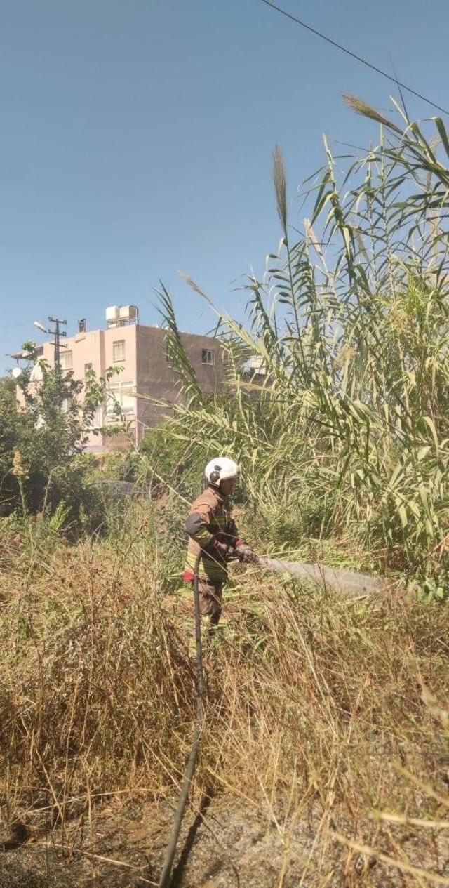 Alevlerin içerisinde kalan kaplumbağaya itfaiyeciden can suyu 3