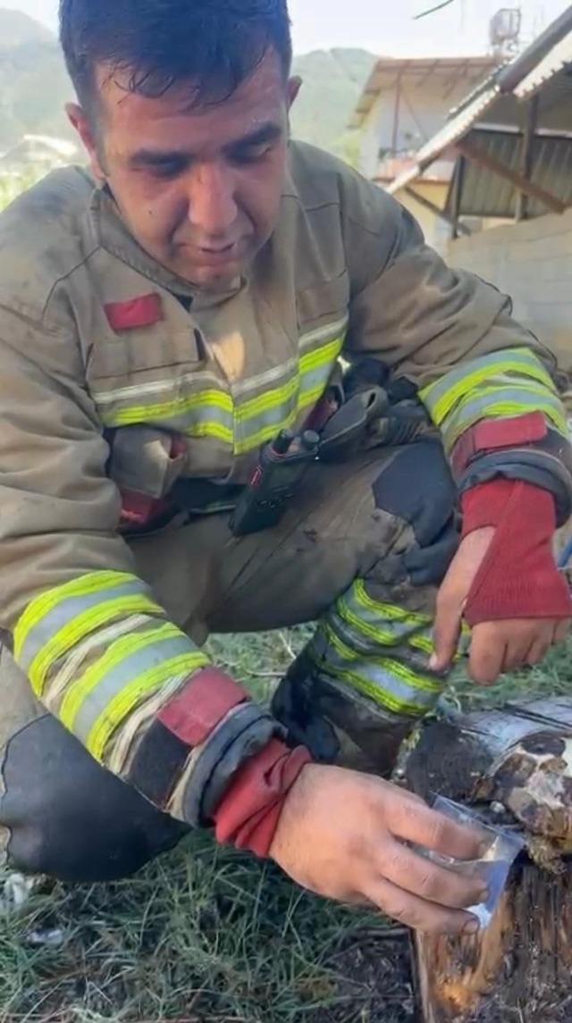 Alevlerin içerisinde kalan kaplumbağaya itfaiyeciden can suyu 1