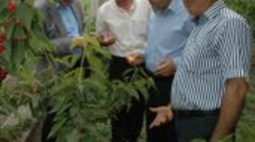 AK Parti'li Işık sizleri mah&ccedil;up etmeyeceğiz