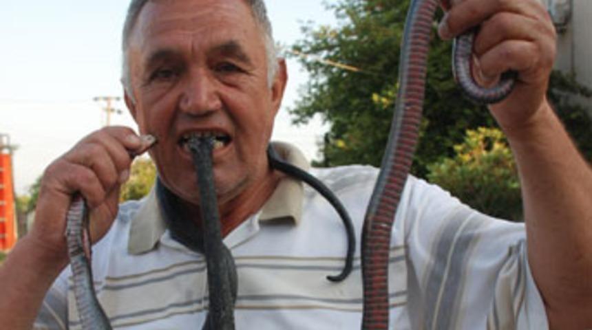 Kendisini ısıran yılanı ısırdı