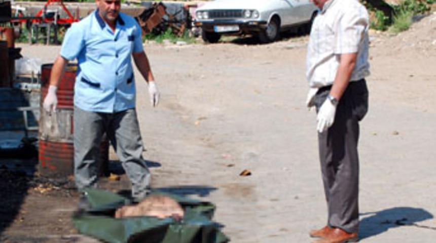 Taş ve sopayla d&ouml;v&uuml;lerek &ouml;ld&uuml;r&uuml;ld&uuml;