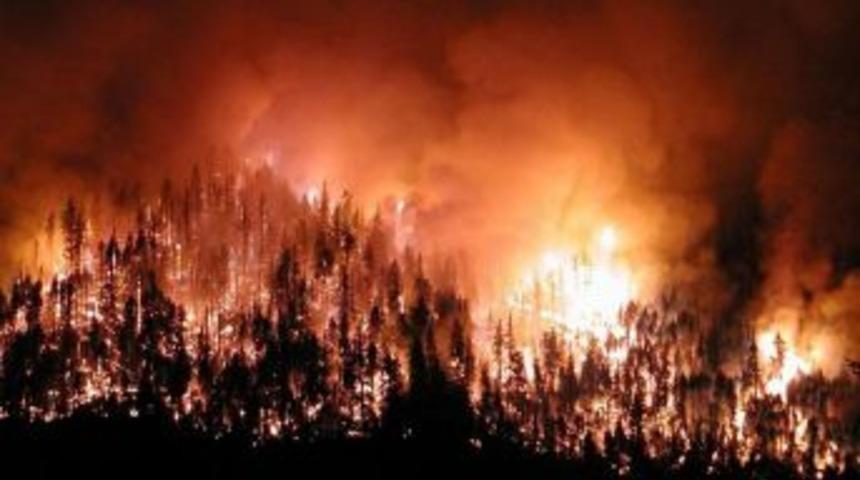 Ayvalık&rsquo;ta orman yangını