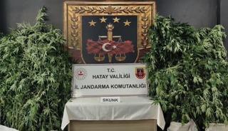 Hatay&rsquo;da jandarmadan uyuşturucu operasyonu