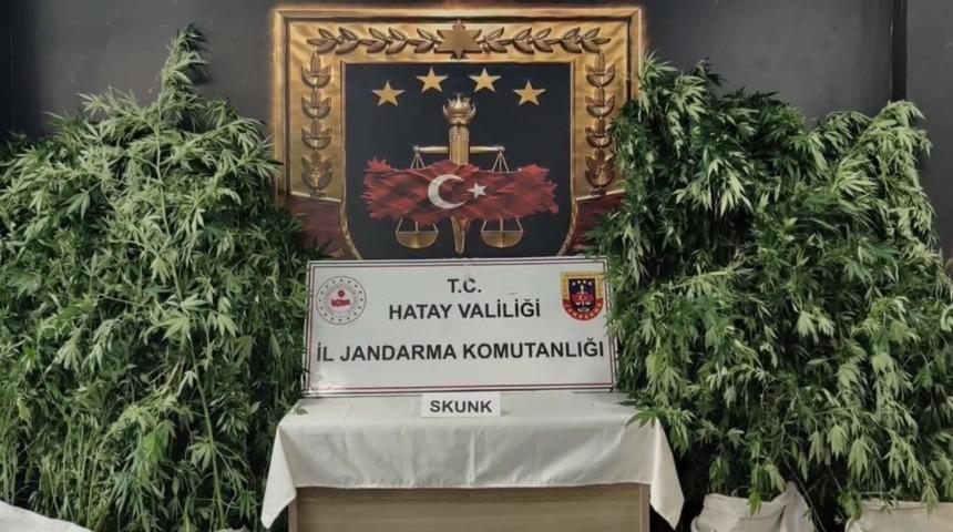 Hatay&rsquo;da jandarmadan uyuşturucu operasyonu