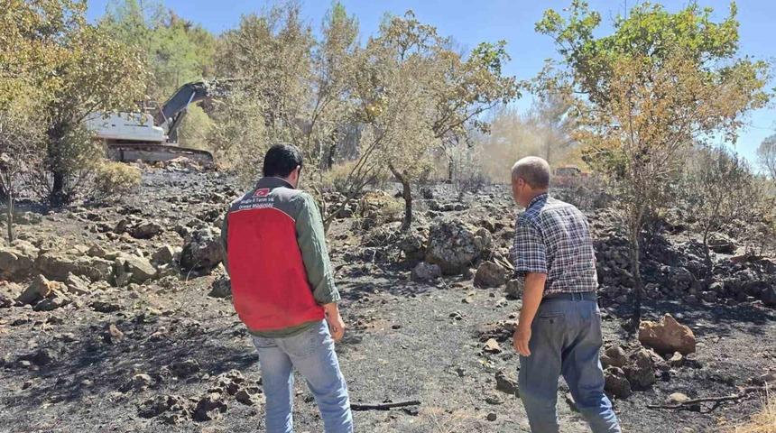 Menteşe&rsquo;de yangın sonrası tarım arazilerinde hasar tespit &ccedil;alışmaları s&uuml;r&uuml;yor