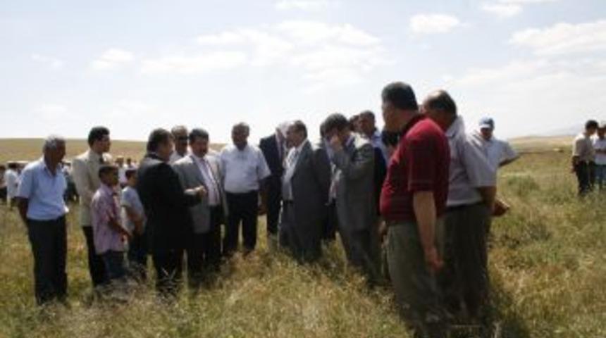 Hacıbektaş'ta mera a&ccedil;ılışı yapıldı