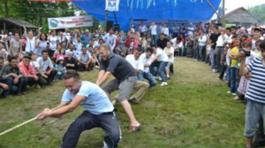 Festival gibi piknik