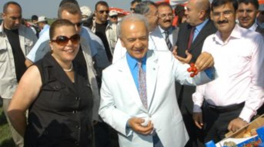 Meyveler g&ouml;r&uuml;c&uuml;ye &ccedil;ıktı