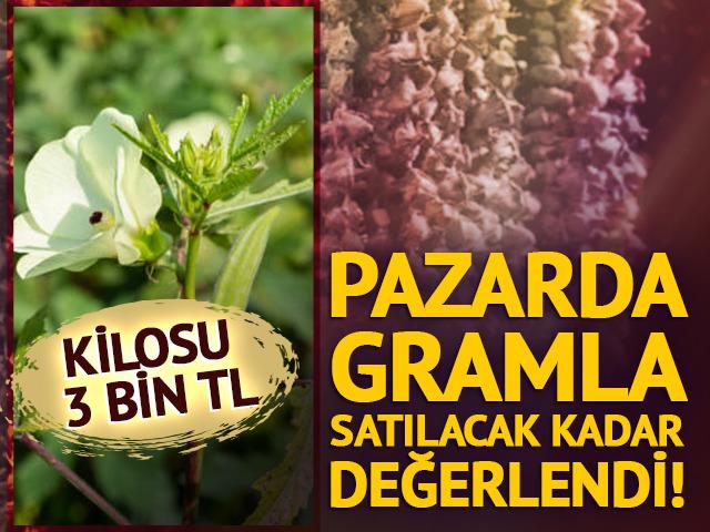 Pazarda gramla satılıyor! Kilosu 3 bin TL&rsquo;ye &ccedil;ıktı