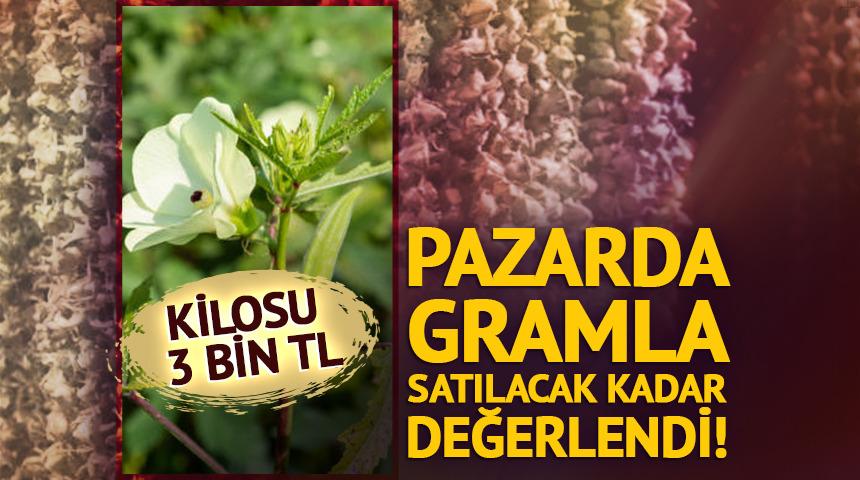 Pazarda gramla satılıyor! Kilosu 3 bin TL&rsquo;ye &ccedil;ıktı