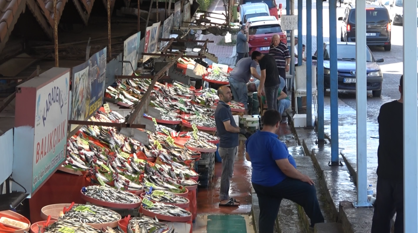 Yalova Balık Hali&rsquo;nde fiyatlar d&uuml;ş&uuml;şe ge&ccedil;ti
