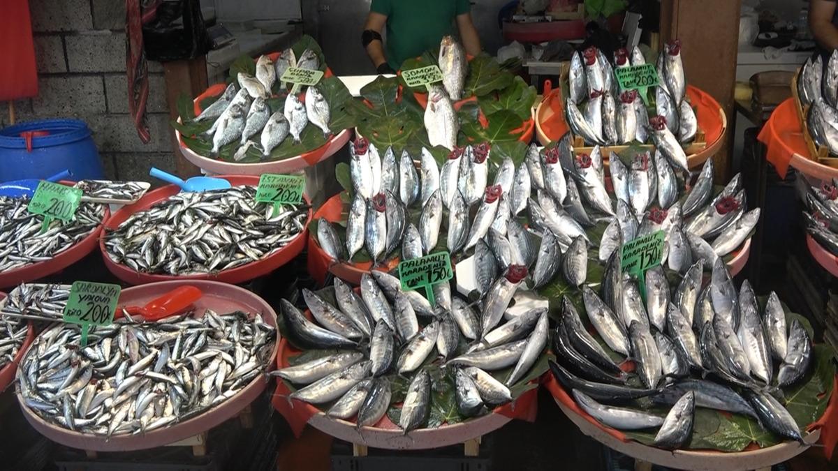 Yalova Balık Hali’nde fiyatlar düşüşe geçti 2