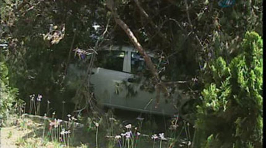 Kırmızı ışıkta &uuml;zerine ağa&ccedil; devrildi