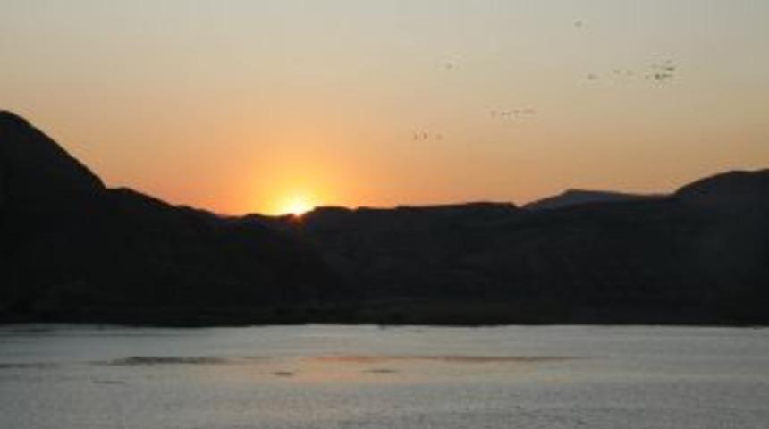 Nallıhan Kuş Cenneti sağanak yağışlarla yeniden hayat buldu