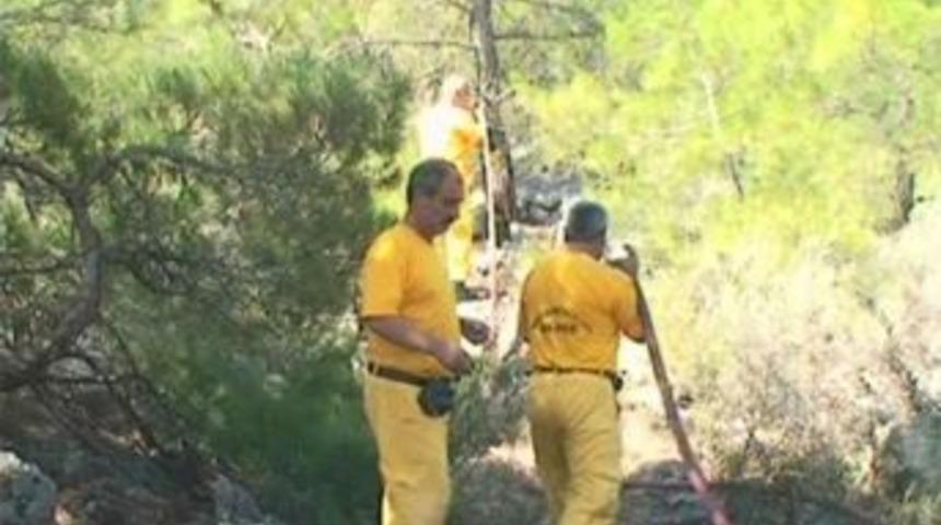 1 Hektarlık alan k&uuml;l oldu