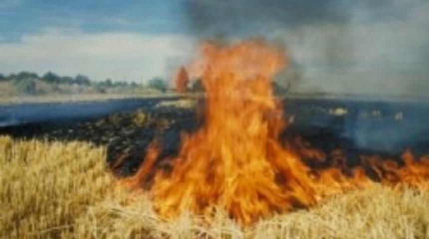 Dursunbey İl&ccedil;e Tarım Uyardı Anız Yakmayın!