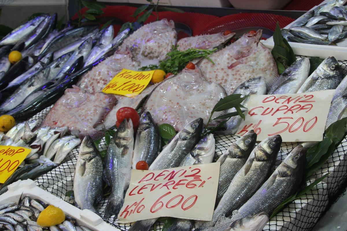 Palamut bolluğu tezgahlara yansıdı: 600 gram balık 100 lira 2