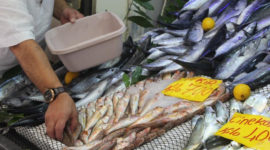 Palamut bolluğu tezgahlara yansıdı: 600 gram balık 100 lira