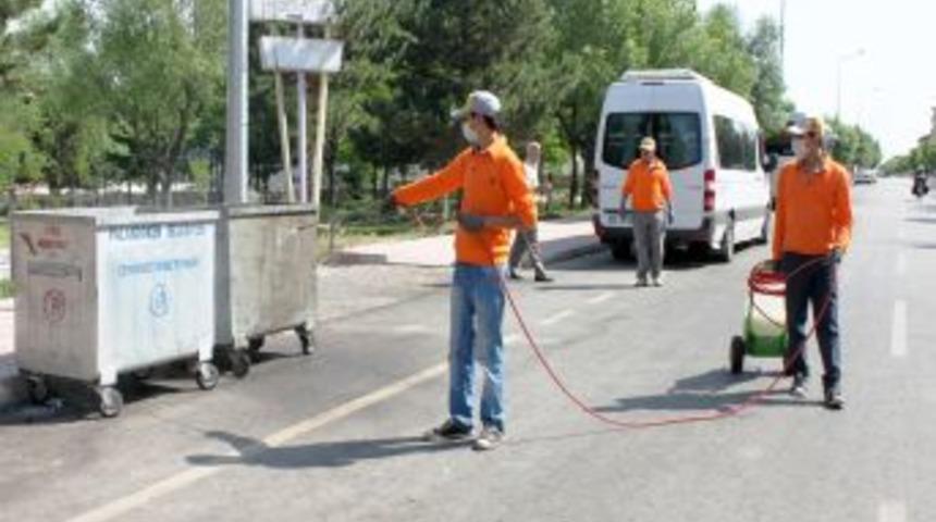 Paland&ouml;ken Belediyesi, keneye karşı yeşil alanları ila&ccedil;lattı
