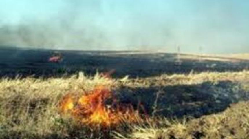 Anız yakmalara yasak geldi