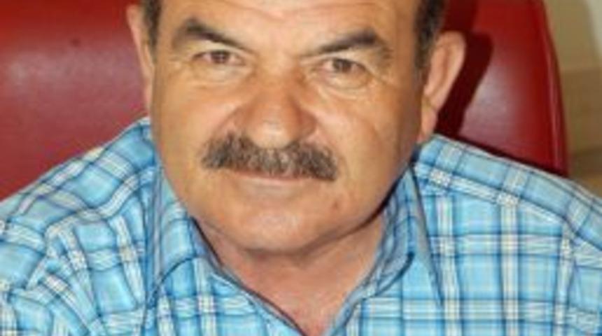 Avokado &uuml;reticilerine &lsquo;hasat zamanı&rsquo; uyarısı