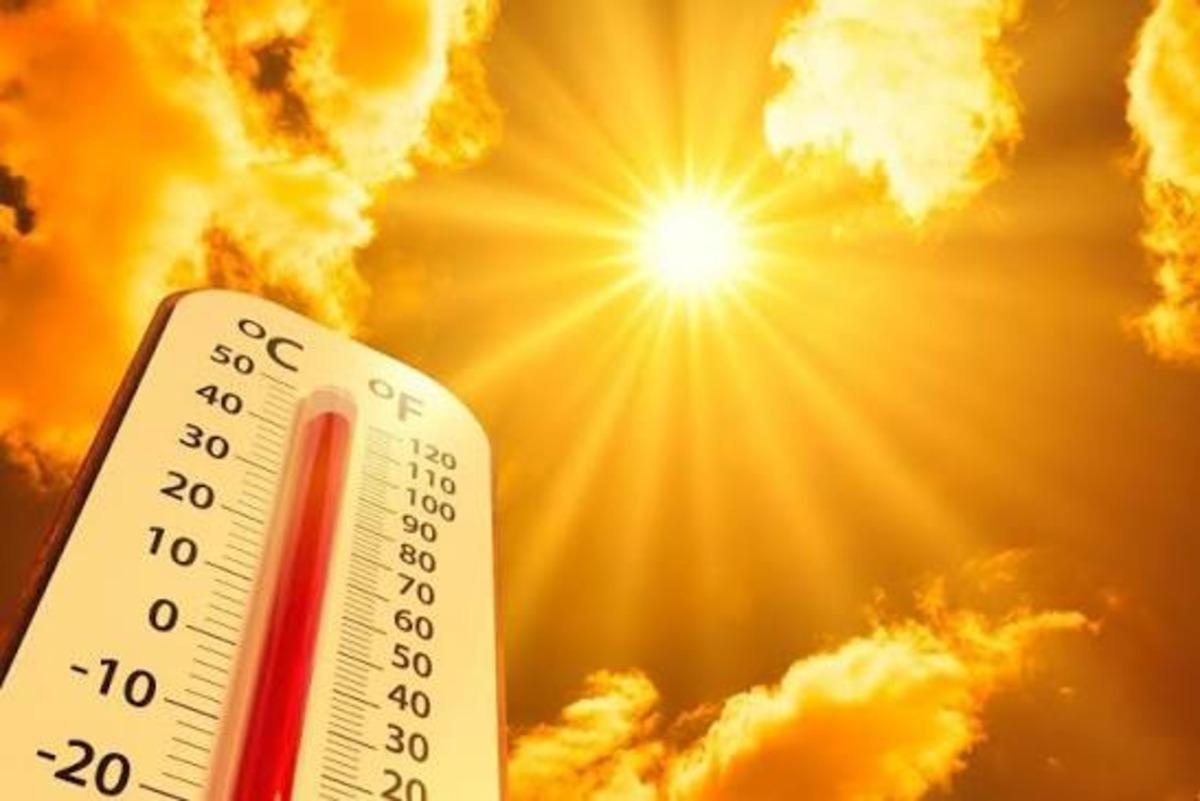 Son 65 yılın en fenası: O ülke tarihin en sıcak yazını yaşıyor 2