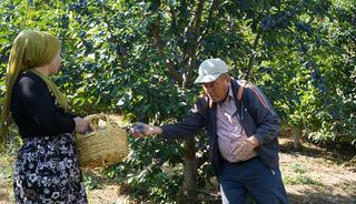  Isparta'da m&uuml;rd&uuml;m eriği &uuml;retimi &ccedil;ift&ccedil;iye alternatif &uuml;r&uuml;n sunuyor